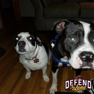 Meet your Posher, Mike